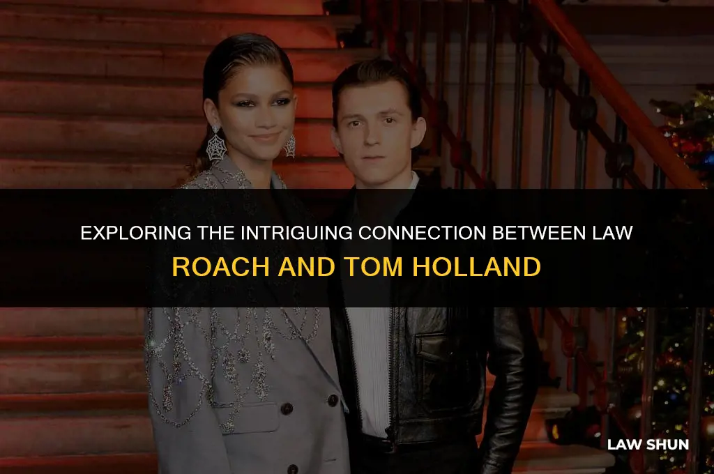 does law roach style tom holland