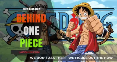 Exploring the Pace of Law in the One Piece Universe