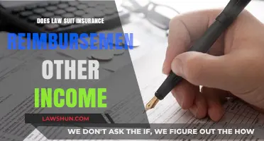 Does Law Suit Insurance Reimbursement Qualify as Other Income?