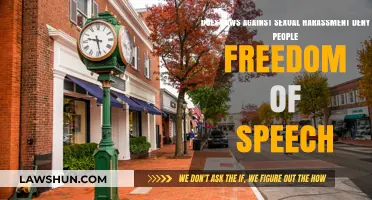 Balancing Free Speech: Do Sexual Harassment Laws Limit Expression?