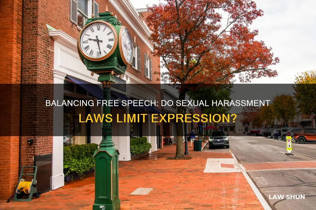 does laws against sexual harassment deny people freedom of speech