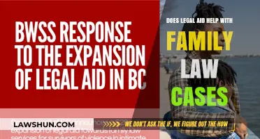 Legal Aid: Family Law Support?