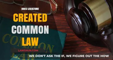 How Legislation and Common Law Interact