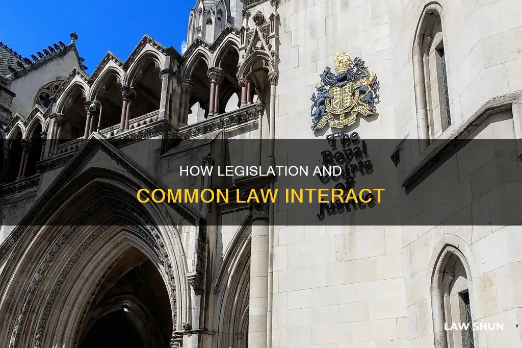 does legisture created common law