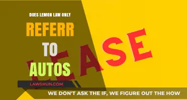 Does Lemon Law Apply Beyond Autos? Exploring Consumer Protections
