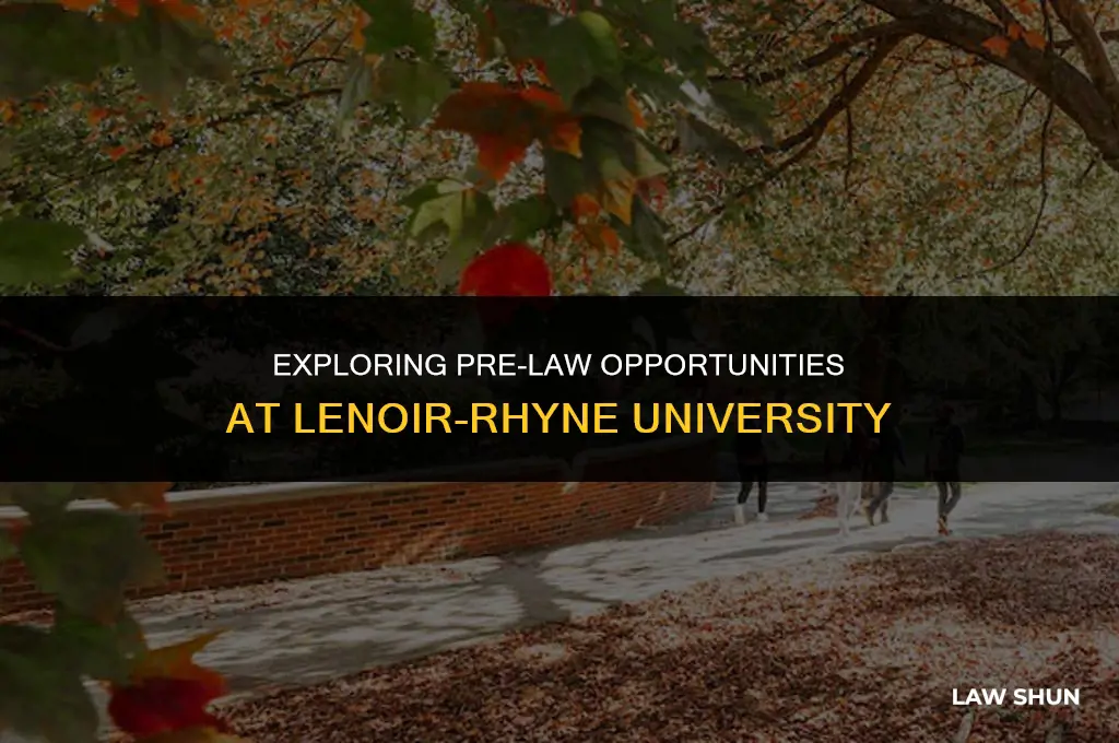does lenoir-rhyne have pre law