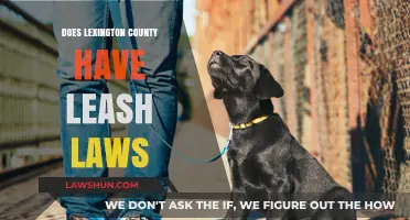 Exploring Lexington County's Leash Laws: A Comprehensive Guide for Pet Owners