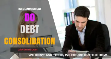 Debt Consolidation Services: Does Lexington Law Offer This Solution?