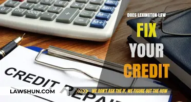 Revamping Your Credit Score: The Lexington Law Solution