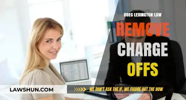 Can Lexington Law Help Remove Charge-Offs from Your Credit Report?