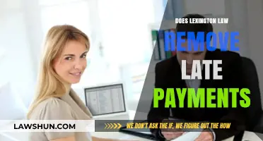 Can Lexington Law Help Remove Late Payments from Your Credit Report?