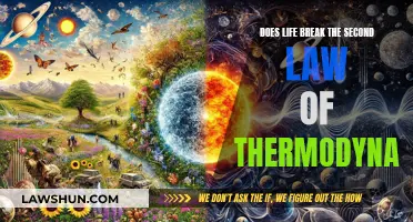 Life's Entropy: Breaking the Second Law of Thermodynamics?