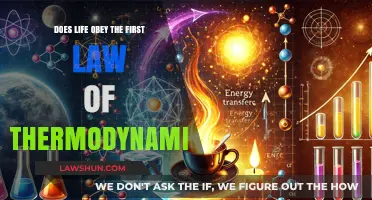 Life and the First Law of Thermodynamics: A Complex Dance