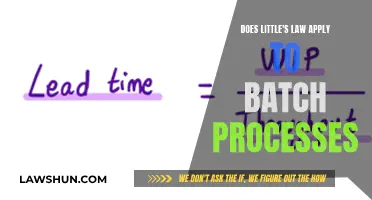 Little's Law: Understanding Its Applicability in Batch Process Scenarios