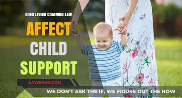 Common-Law Living: Impacting Child Support?