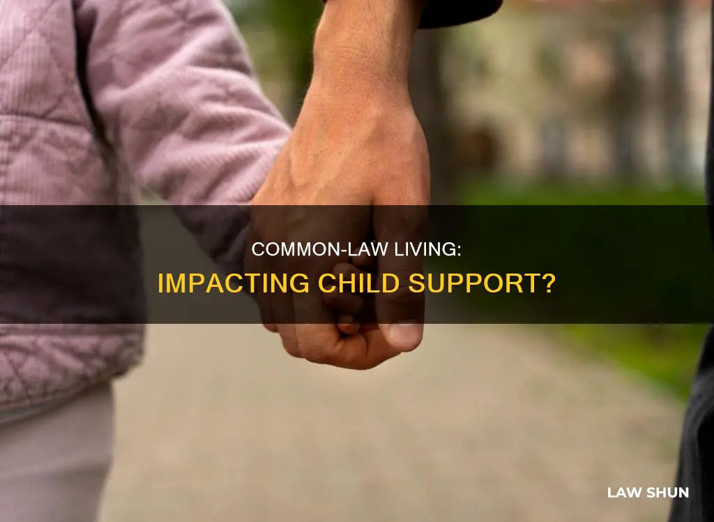 does living common law affect child support