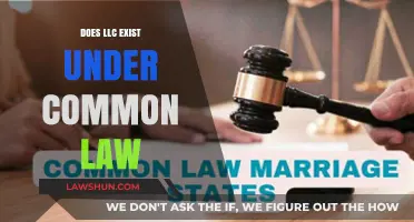 LLC Existence: Common Law or Separate Entity?