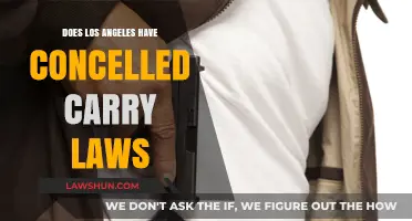Understanding Concealed Carry Laws in Los Angeles: What You Need to Know