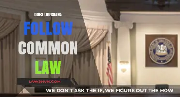 Louisiana's Legal System: Common or Civil Law?