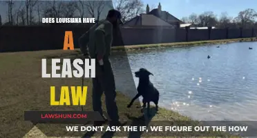 Understanding Louisiana's Leash Laws: A Guide for Dog Owners
