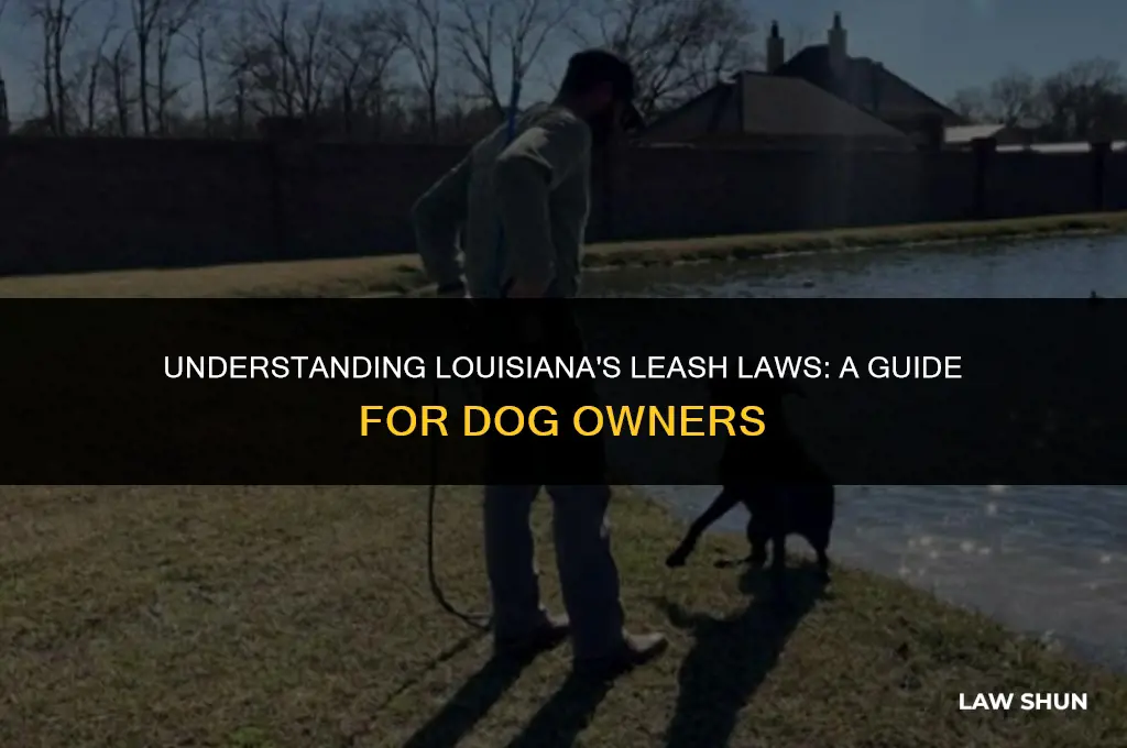 does louisiana have a leash law