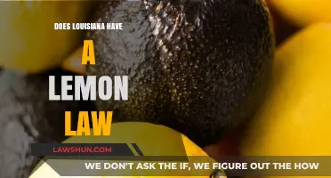 Louisiana Lemon Law: Protecting Consumers from Defective Vehicles