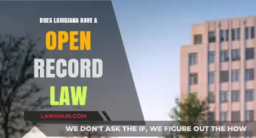 Louisiana's Open Records Law: Accessing Public Information in the State