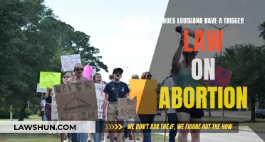 Louisiana's Abortion Trigger Law: What You Need to Know