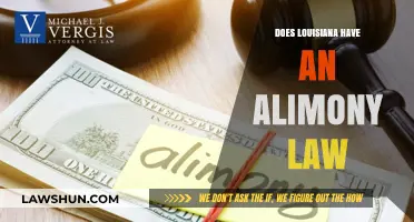 Understanding Alimony Laws in Louisiana: A Comprehensive Guide