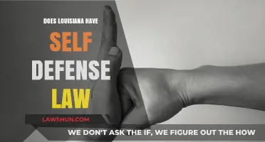 Understanding Louisiana's Self-Defense Laws: A Comprehensive Guide