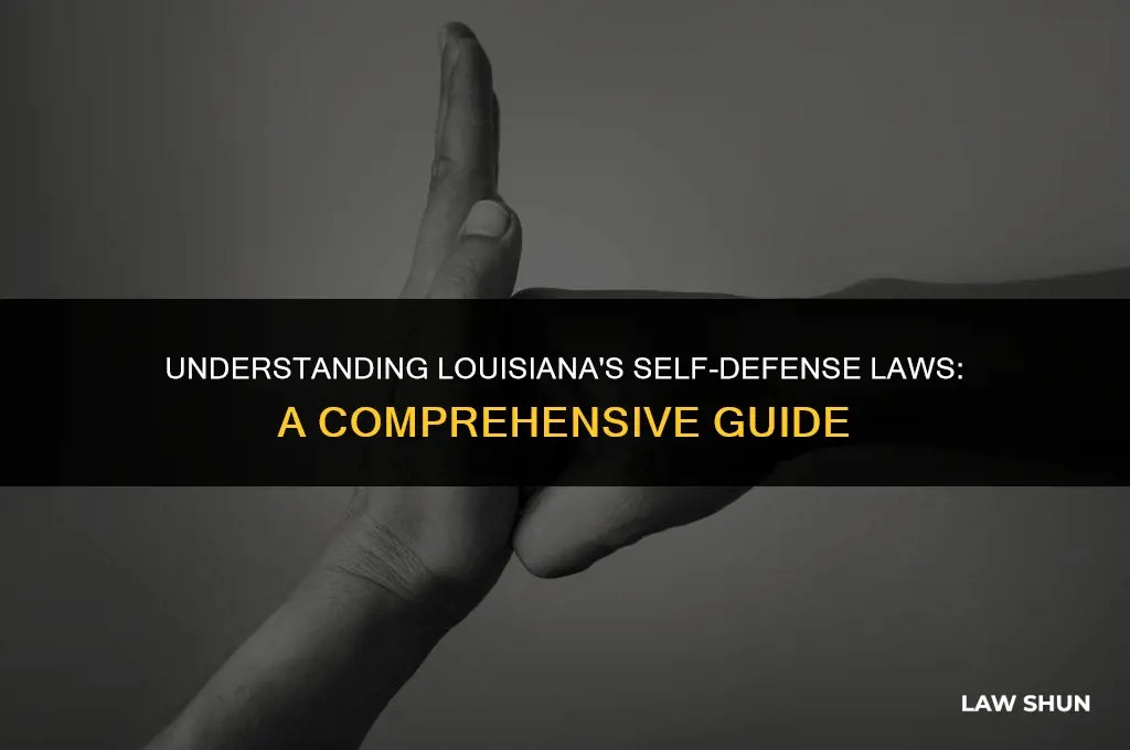 does louisiana have self defense law