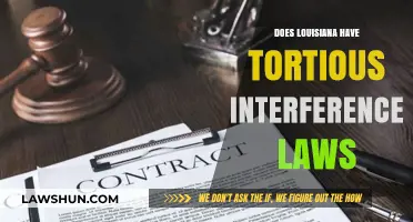 Understanding Tortious Interference Laws in Louisiana: A Comprehensive Guide