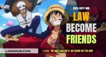 How Luffy and Law's Unlikely Friendship Blossomed