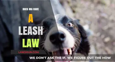 Exploring Massachusetts: Understanding the State's Leash Law Requirements