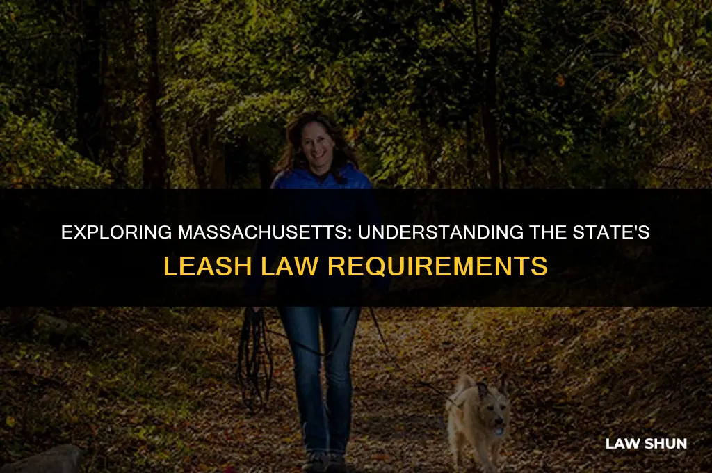 does ma have a leash law