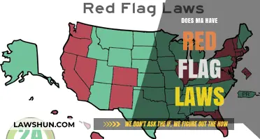 Understanding Massachusetts' Red Flag Laws: A Comprehensive Guide