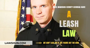 Madison County, Georgia Leash Law: What Pet Owners Need to Know