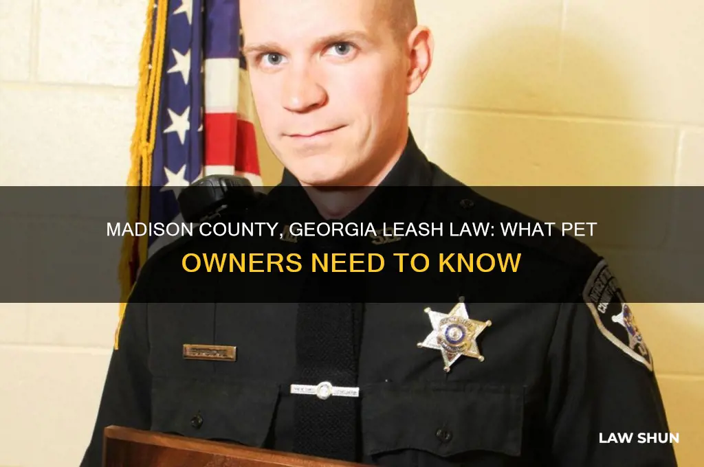 does madison county georgia have a leash law