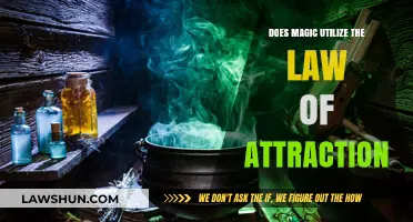 Magic and Manifestation: Exploring the Law of Attraction's Role