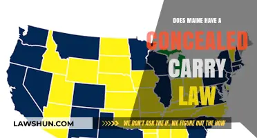 Understanding Maine's Concealed Carry Laws: What You Need to Know