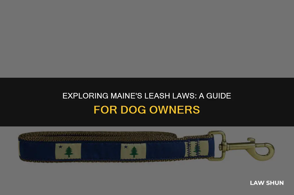 does maine have a leash law