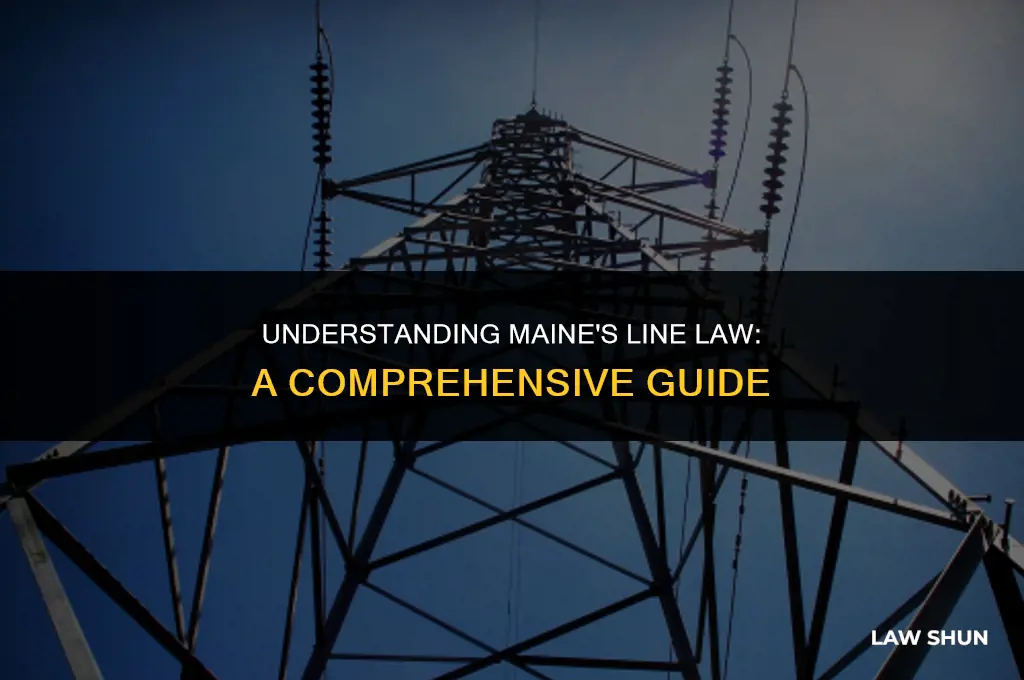 does maine have a line law