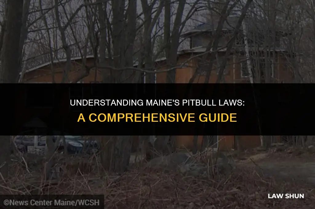 does maine have a pitbull law