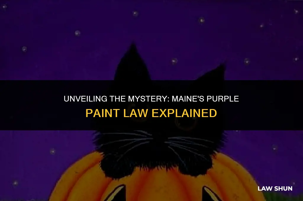 does maine have purple paint law
