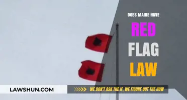 Exploring Maine's Stance on Red Flag Laws: A Comprehensive Overview