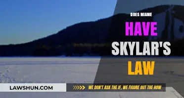 Exploring Skylar's Law: Maine's Approach to Protecting Children