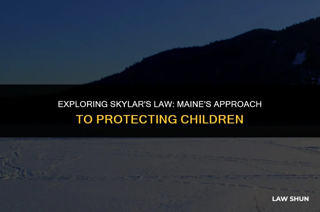 does maine have skylar
