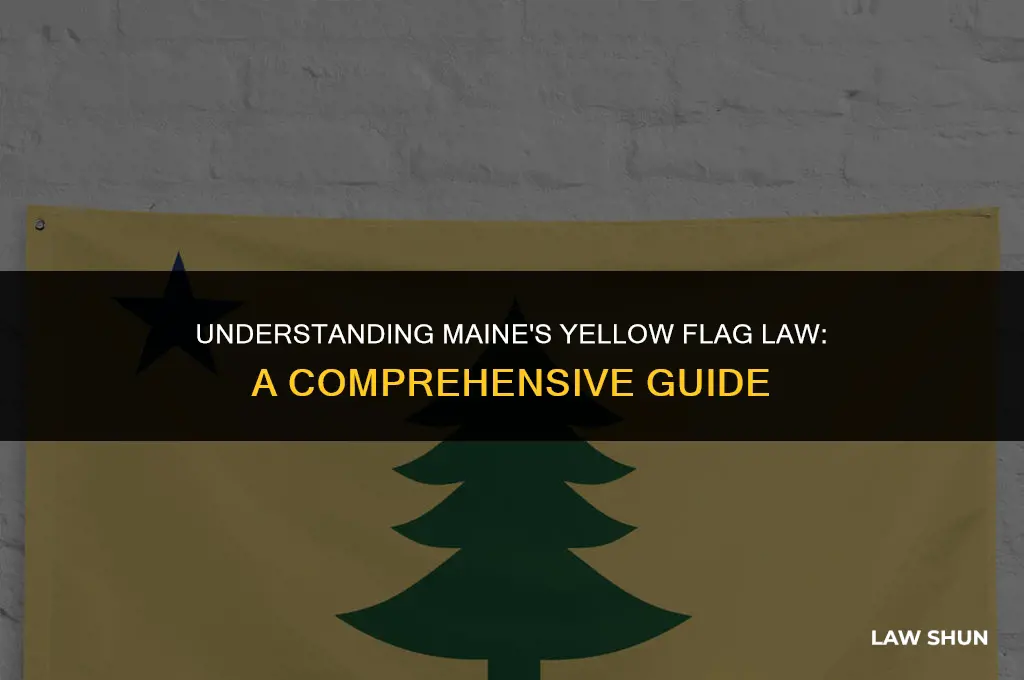 does maine have yellow flag law
