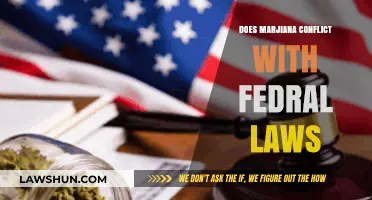 Navigating the Complex Relationship Between Marijuana and Federal Laws