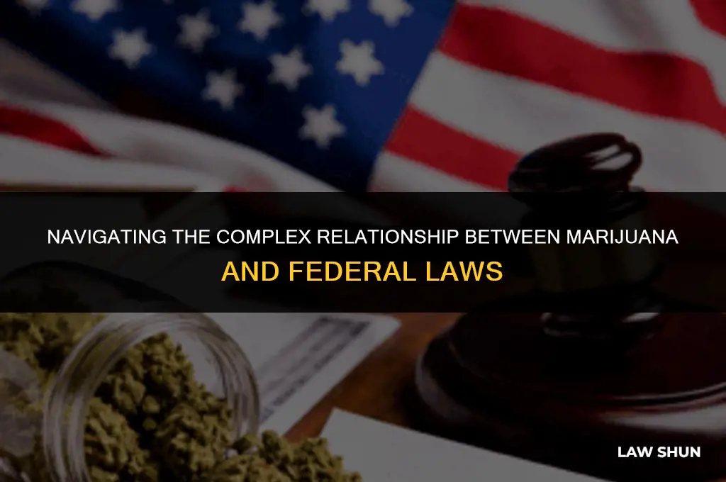 does marjiana conflict with fedral laws